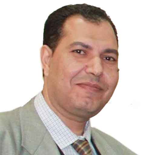 Mohamed Fawzy Mohamed El Safty
