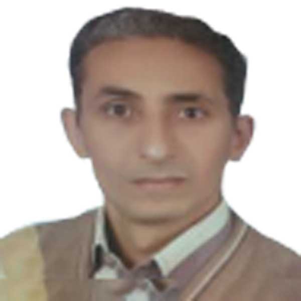 Prof Nabil Ibrahim El Sheery